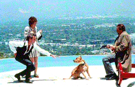 Movie Still, 2 Days, Festivale film review